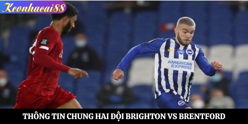 Thông tin chung hai đội Brighton vs Brentford