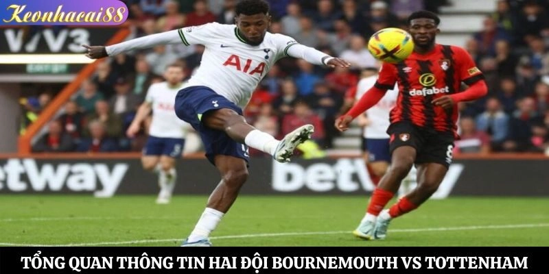 Tổng quan thông tin hai đội Bournemouth vs Tottenham