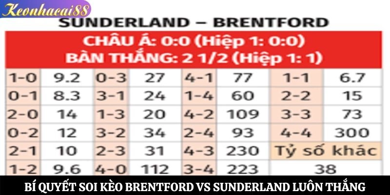 Bí quyết soi kèo Brentford vs Sunderland luôn thắng